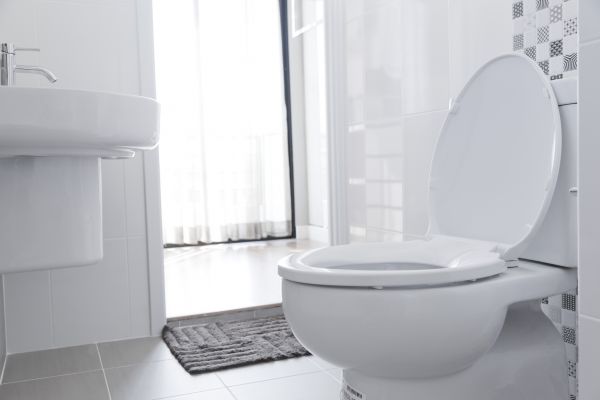 Cost of Toilet Relocation in Saint Charles
